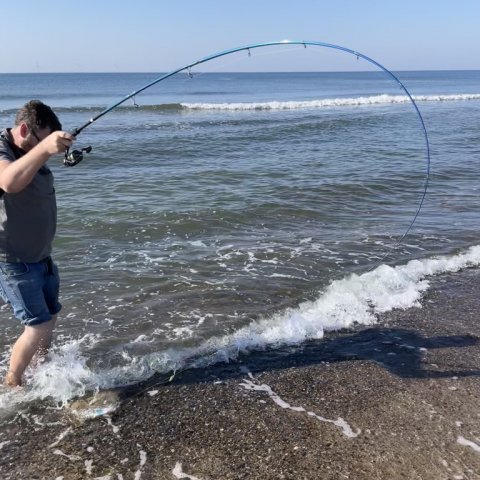 Action på lavt vand