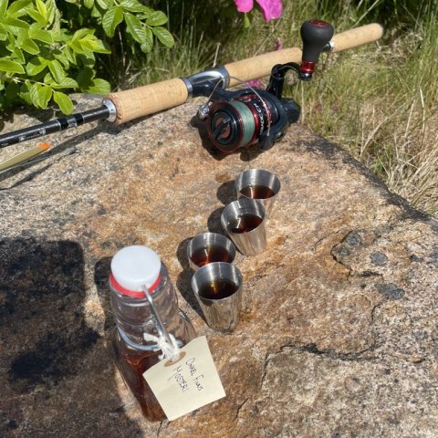 kryddersnaps v. Limfjorden