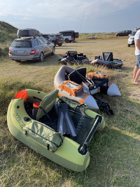Flydering ved Ringkøbing Fjord