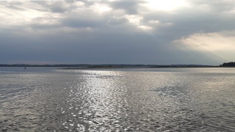 Limfjorden havørredfiskeri