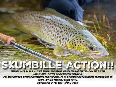 Skumbille ved Hover Å